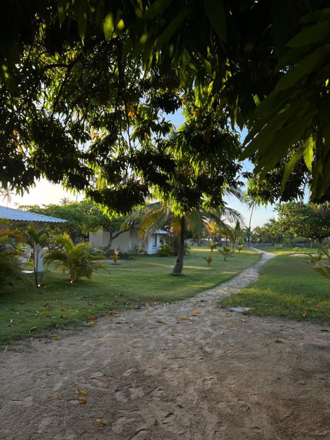 איקראי Kanaha Beach Villa מראה חיצוני תמונה